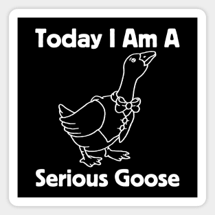 Today I Am A Serious Goose Magnet